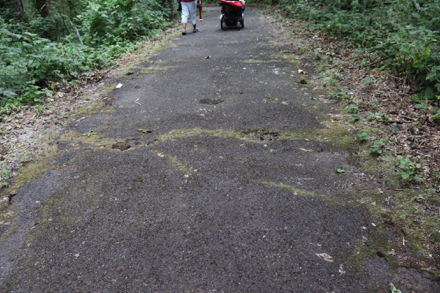 There may be bumps and ruts on the paved trail